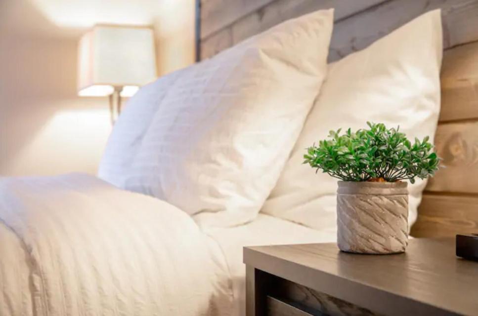 Modern Westshore Apartment Tampa Kültér fotó