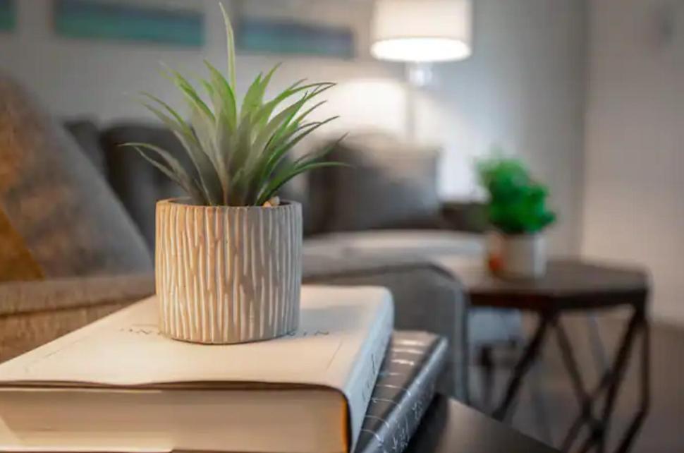 Modern Westshore Apartment Tampa Kültér fotó